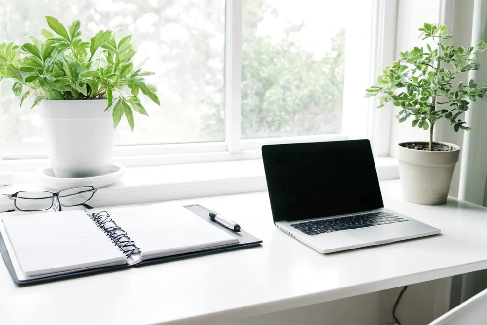 A home office desk with a laptop and a plant by a window